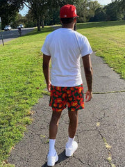 Leopard Print Mesh Elastic Waist Shorts