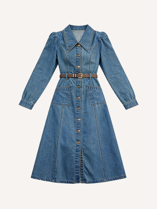 Luxury Style Collared Waist-Defining Casual Denim Dress