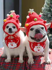 Cute Christmas scarves that dogs and cats also need