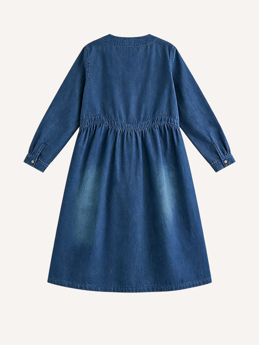 New Loose Denim Dress for Summer