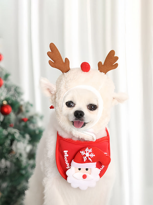 Cute Christmas scarves that dogs and cats also need