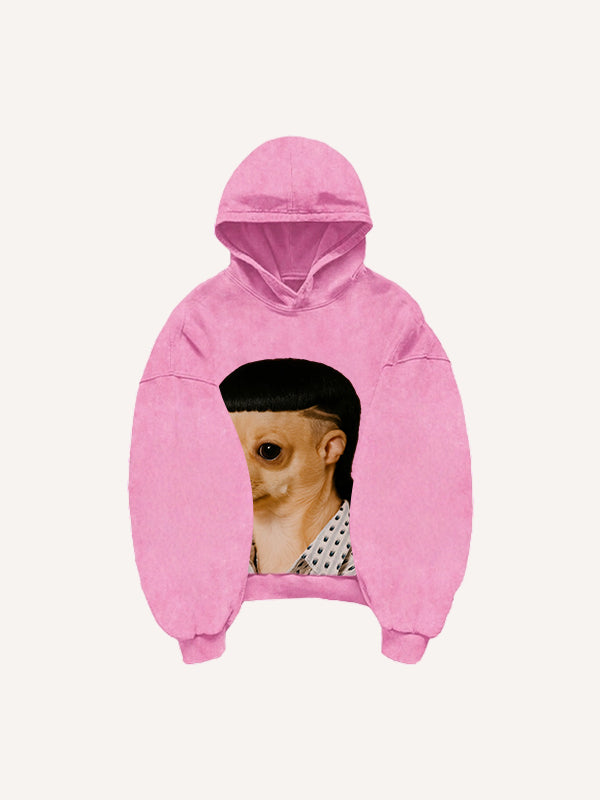IG super hot cute fashion dog sweatshirt