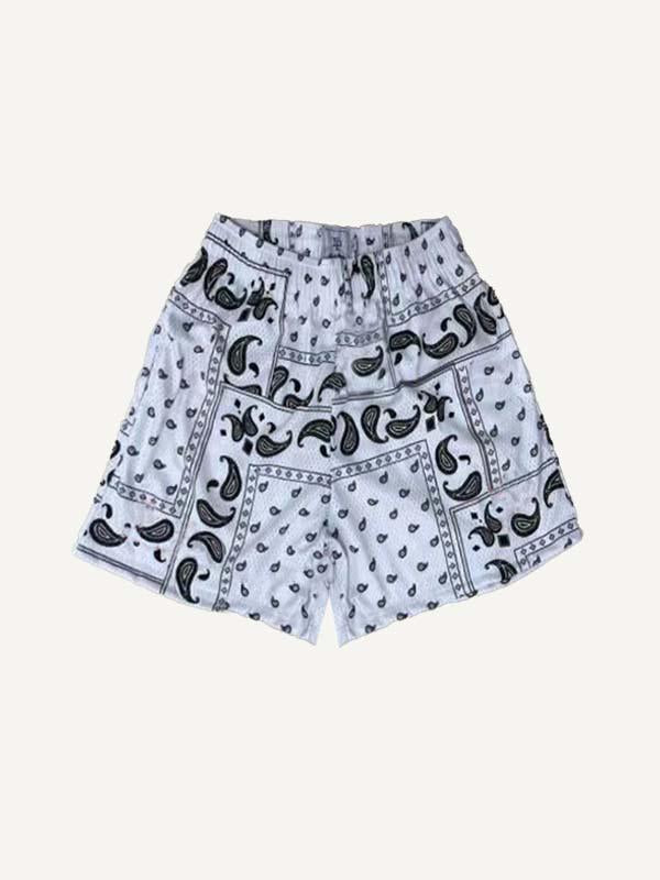 Paisley Print Mesh Elastic Waist Shorts